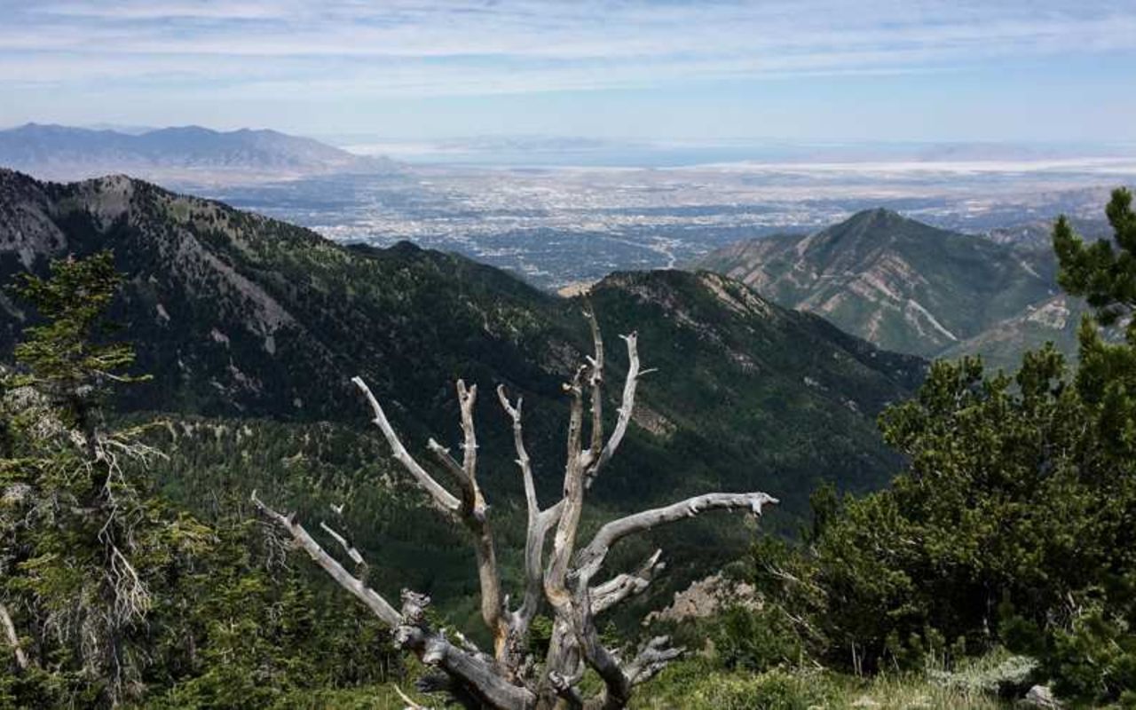 Alexander Basin | Photo Gallery | 0 - Alexander Basin