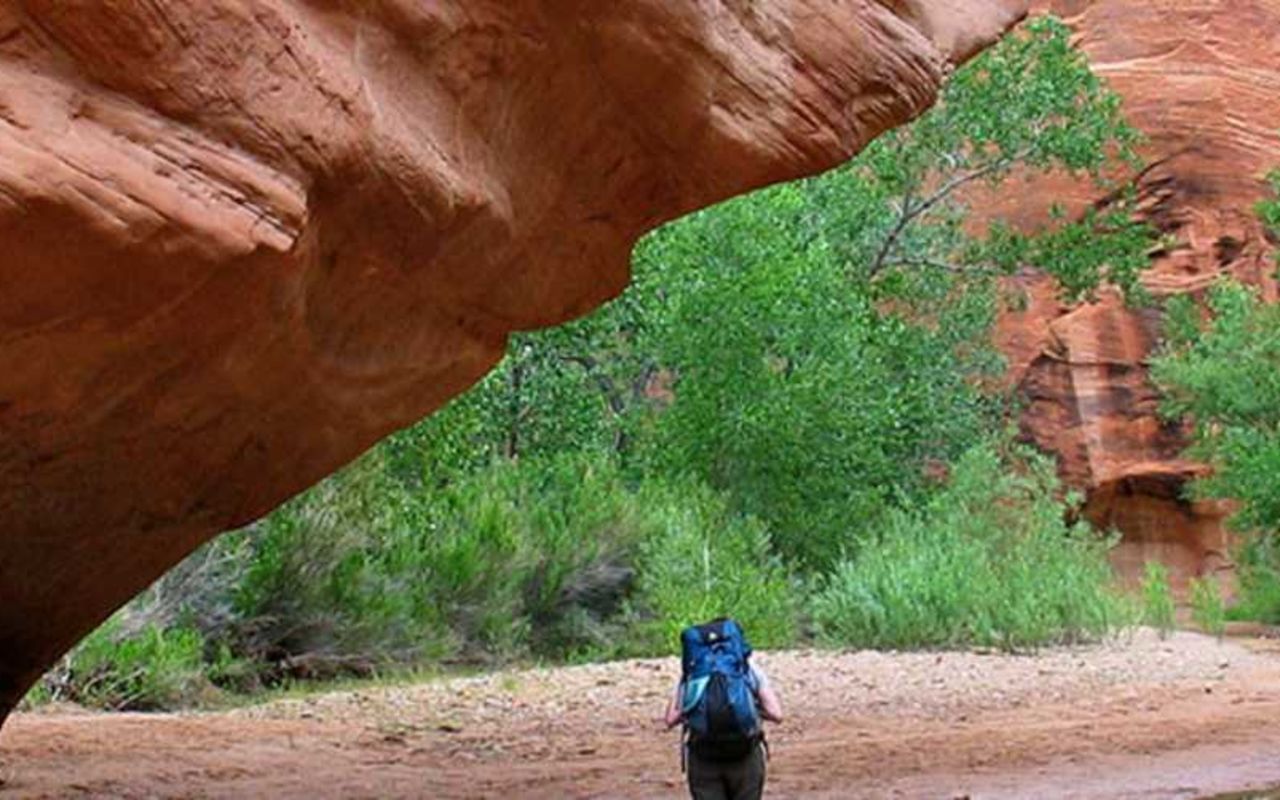 Things To Do in Lake Powell | Photo Gallery | 0 - The Wildland Trekking Co Hero