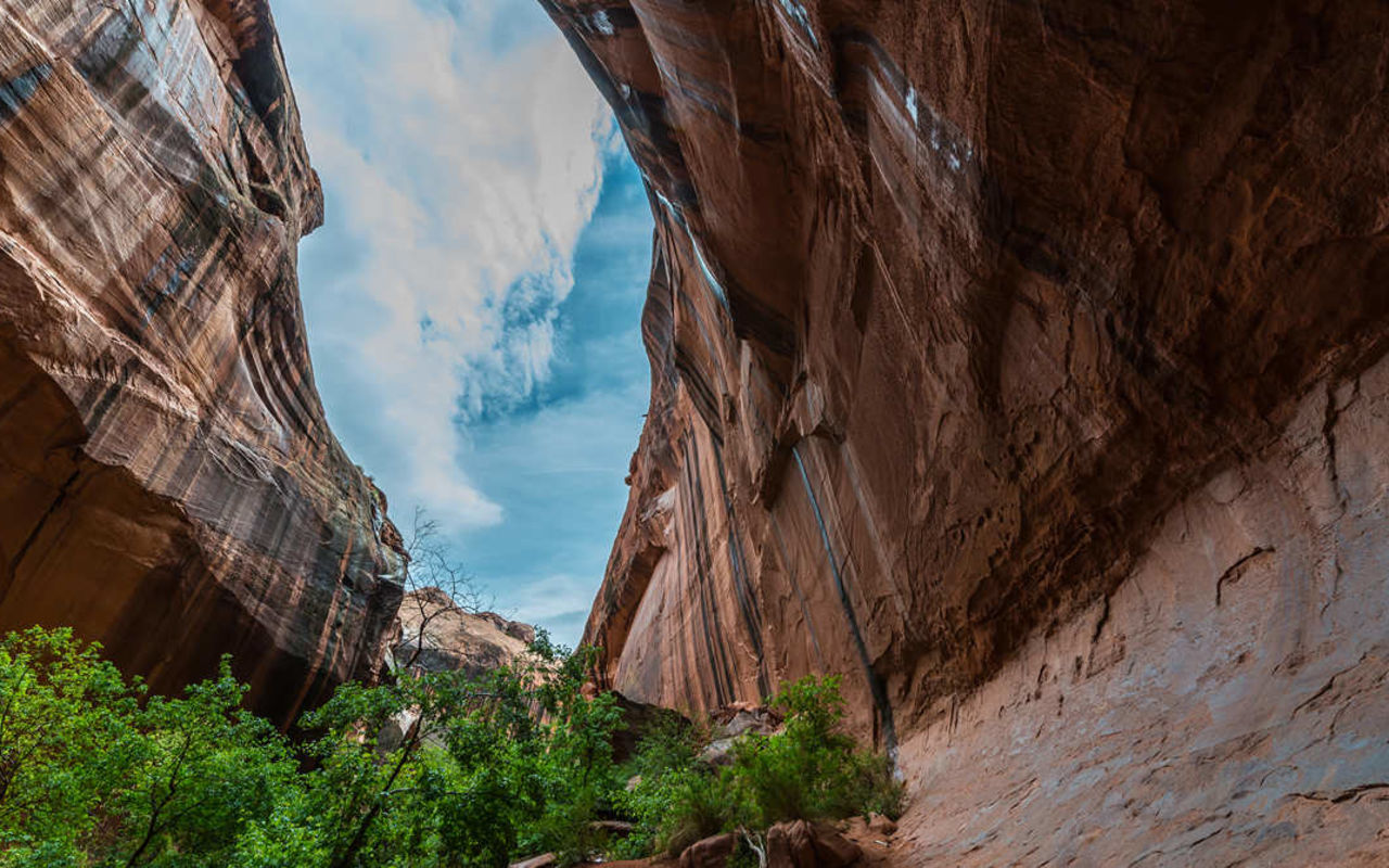 Escalante Canyon | Photo Gallery | 1 - Escalante Canyon