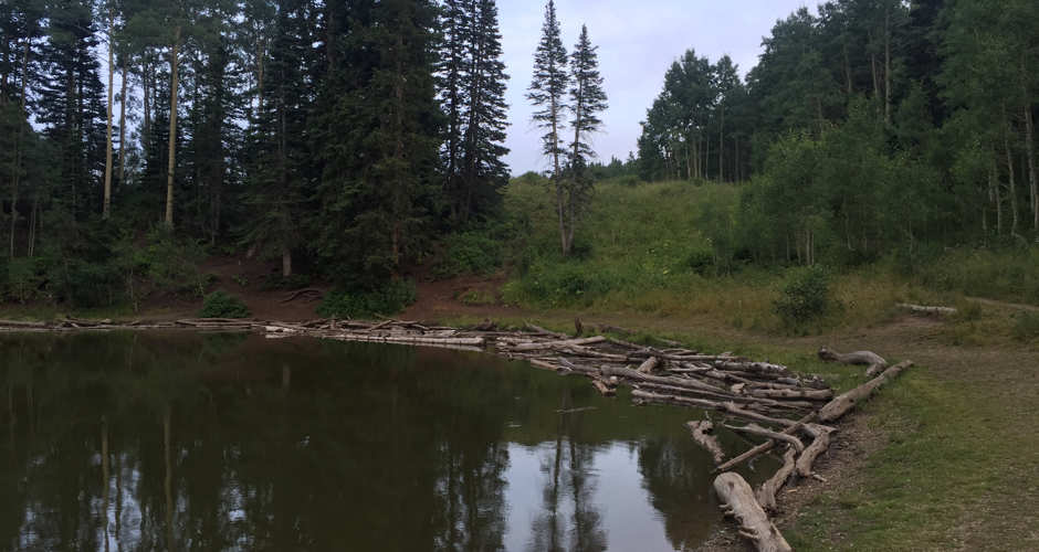 Dog Lake Utah | Photo Gallery | 0 - Dog Lake Utah