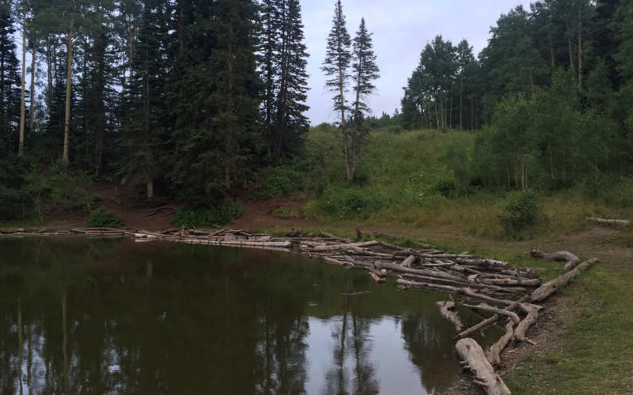 Dog Lake Utah | Photo Gallery | 0 - Dog Lake Utah