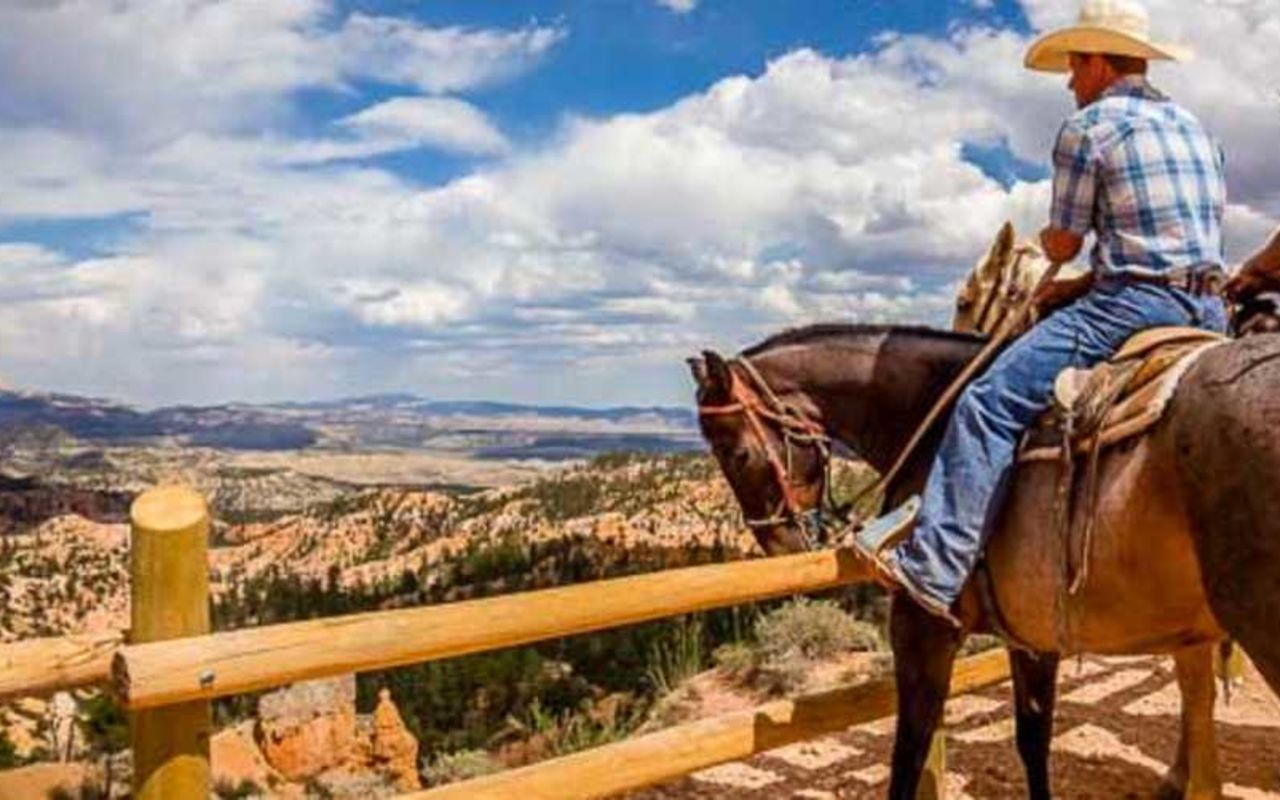Bryce Canyon Tours & Guides | Photo Gallery | 0 - Ruby's Guided Tours Carousel