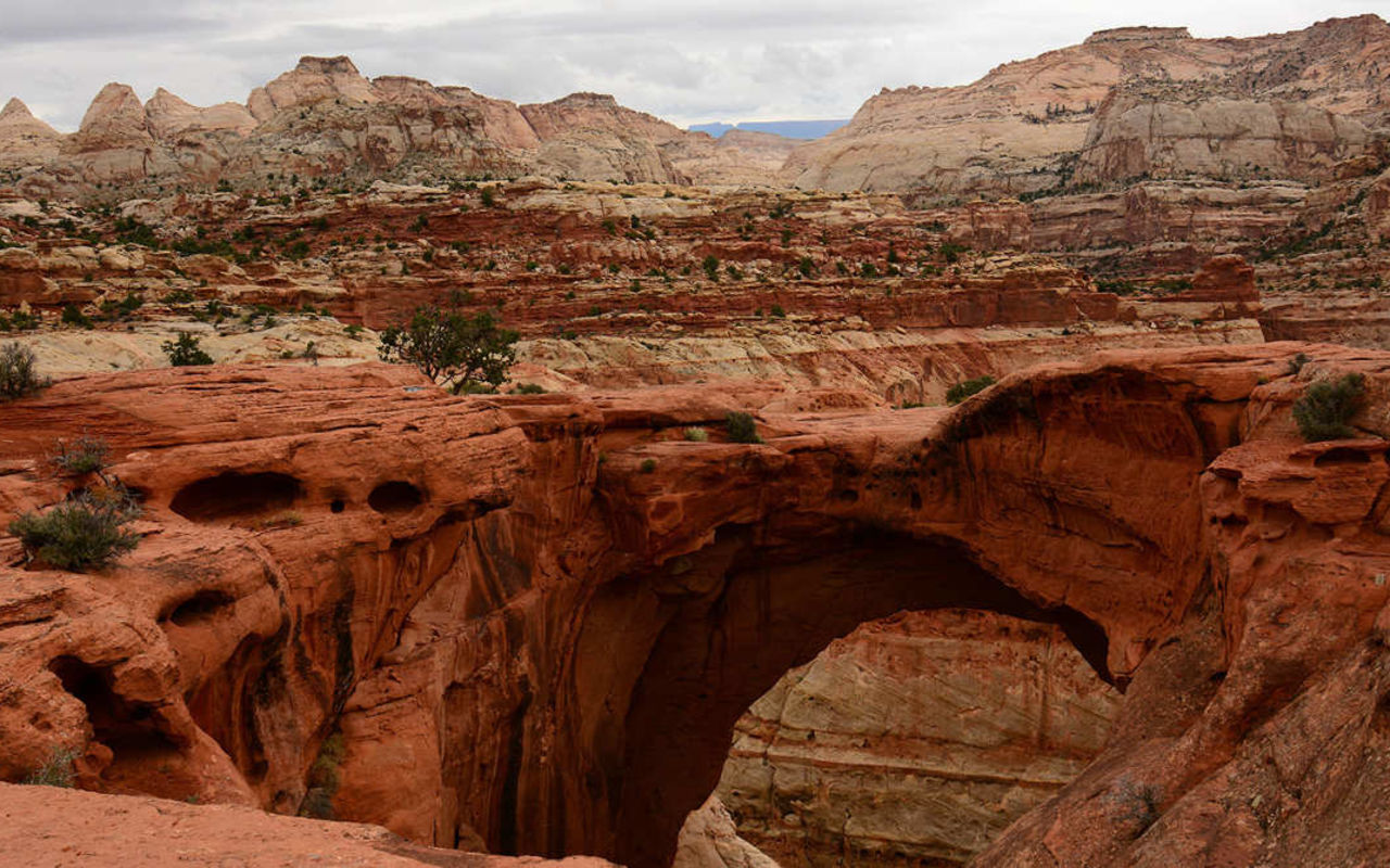 Cassidy Arch Trail | Photo Gallery | 0 - Cassidy Arch Trail