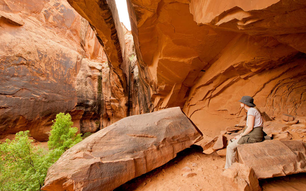 Morning Glory Bridge Trail | Photo Gallery | 0 - Morning Glory Bridge Trail