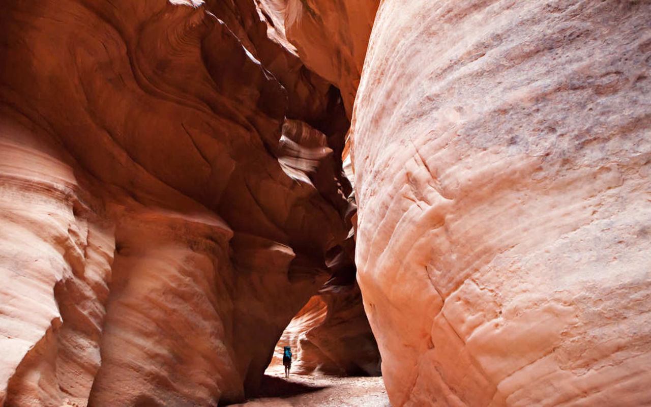 Paria Canyon | Photo Gallery | 2 - Paria Canyon and Buckskin Gulch