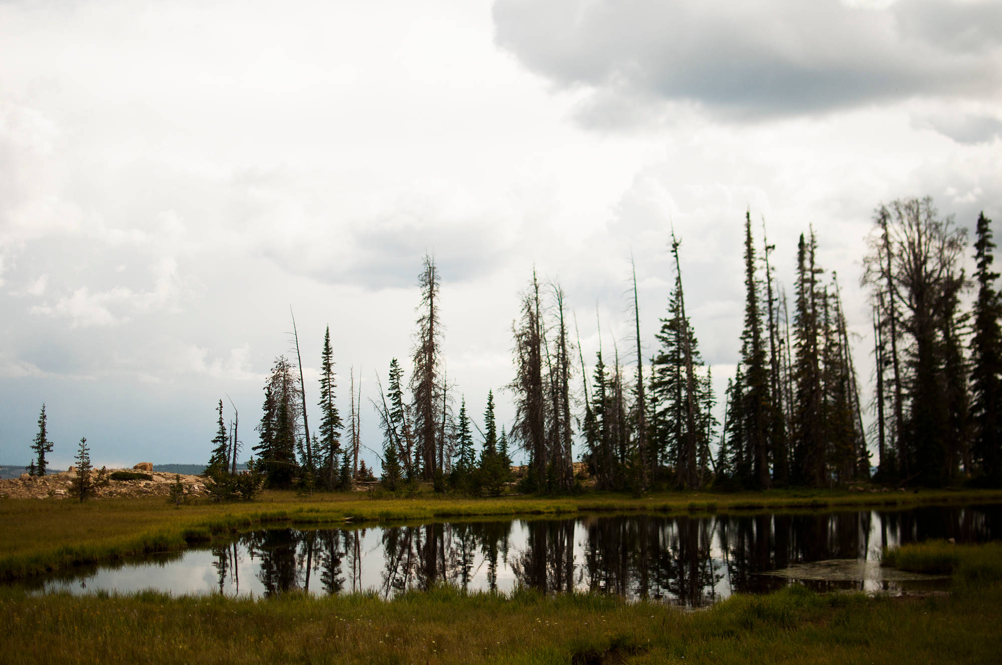 Weekend Backpacking Trips in the Uintas