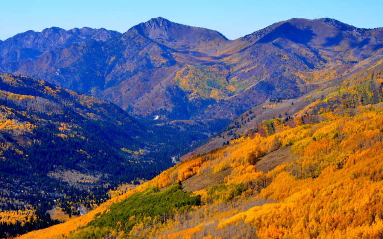 Mount Raymond Trail | Photo Gallery | 0 - Mount Raymond Trail