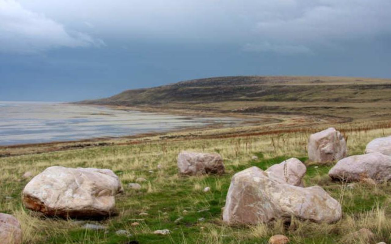 Mountain Biking Antelope Island | Photo Gallery | 0 - Antelope Island Bison Roundup