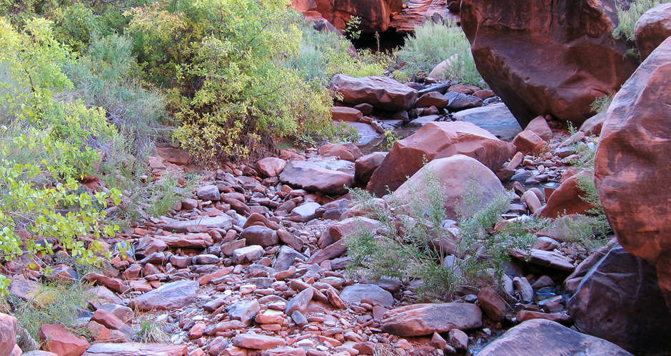 Hunters Canyon | Photo Gallery | 1 - Hunters Canyon