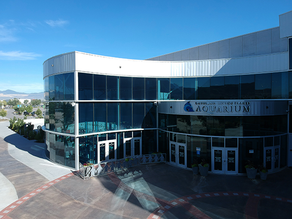 Main Entrance Loveland Planet Aquarium