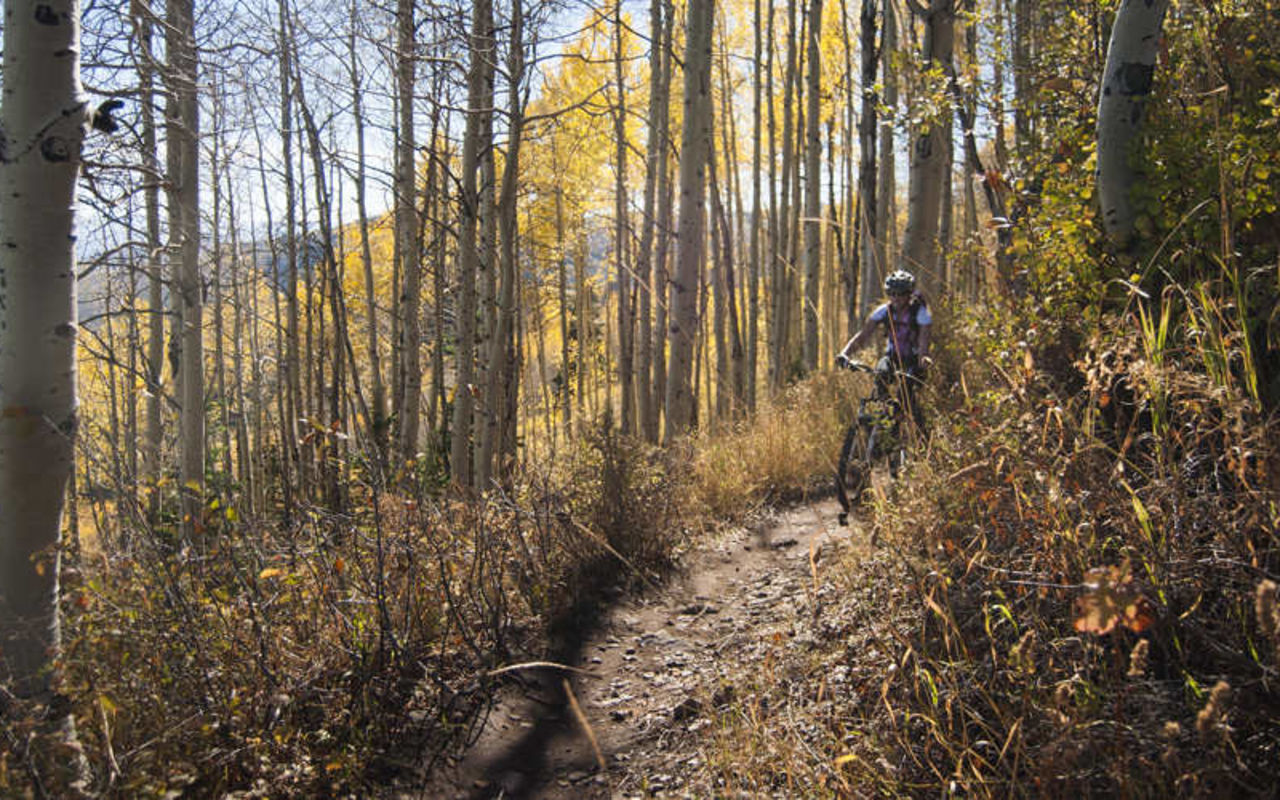 Mid-Mountain Trail | Photo Gallery | 0 - Mid-Mountain Trail
