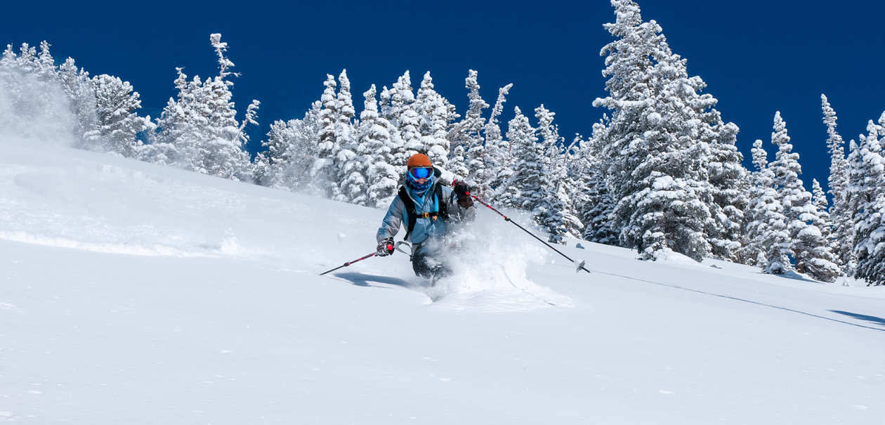 Alta Turns 80