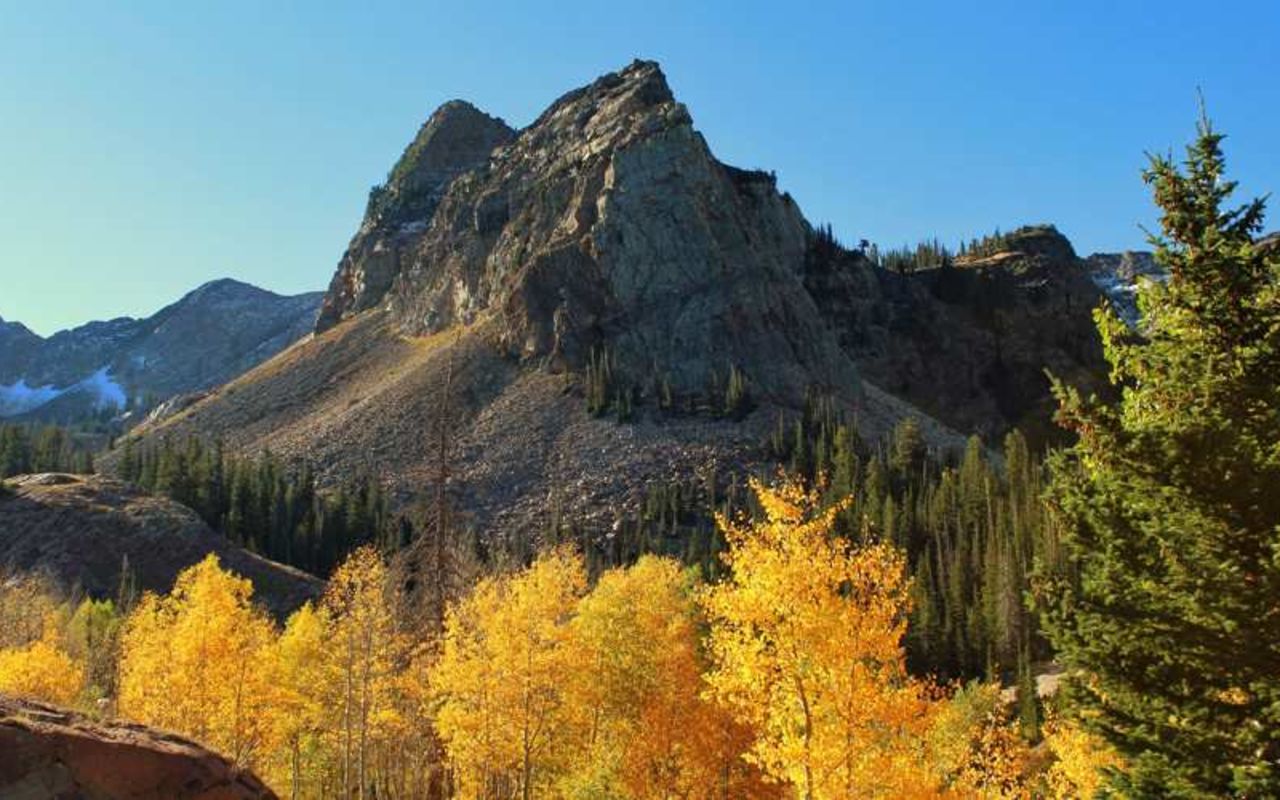 Wilderness Study | Photo Gallery | 1 - Wilderness Study