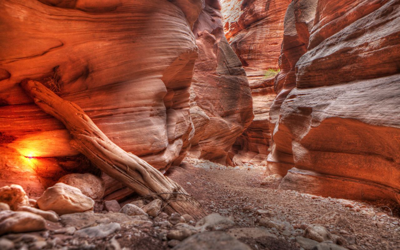 Paria Canyon | Photo Gallery | 0 - Paria Canyon and Buckskin Gulch