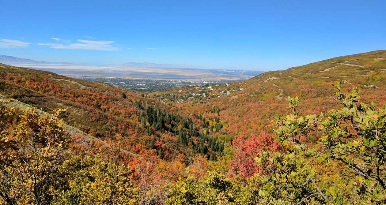 Mueller Park | Photo Gallery | 1 - Mueller Park