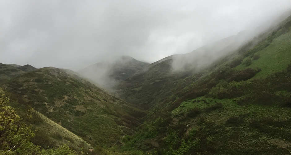 Dry Creek Salt Lake | Photo Gallery | 1 - Dry Creek Salt Lake Trail Fog