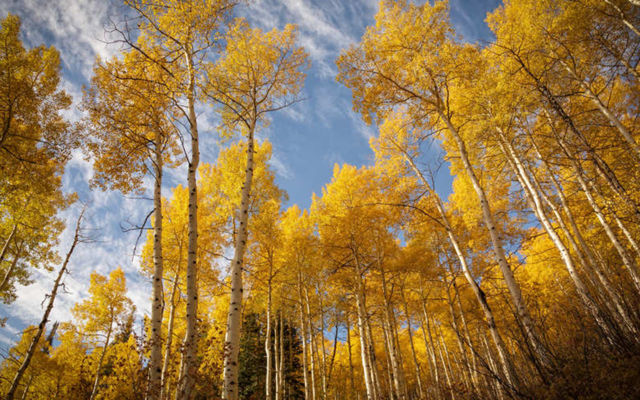 Spin Cycle | Photo Gallery | 0 - Fall colors