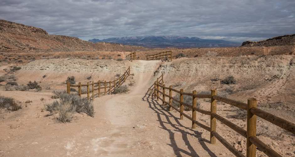 Bearclaw Poppy | Photo Gallery | 1 - Bearclaw Poppy Trail