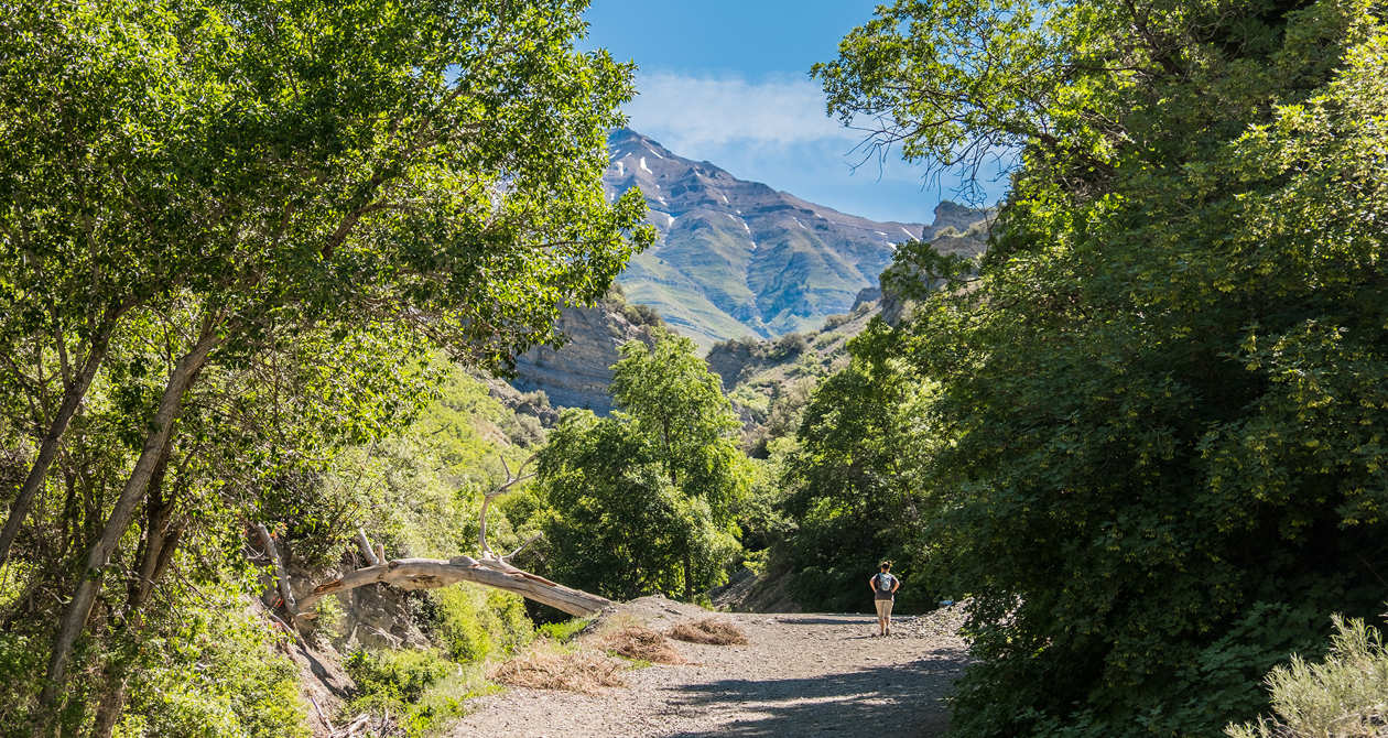 Battle Creek Falls | Photo Gallery | 1