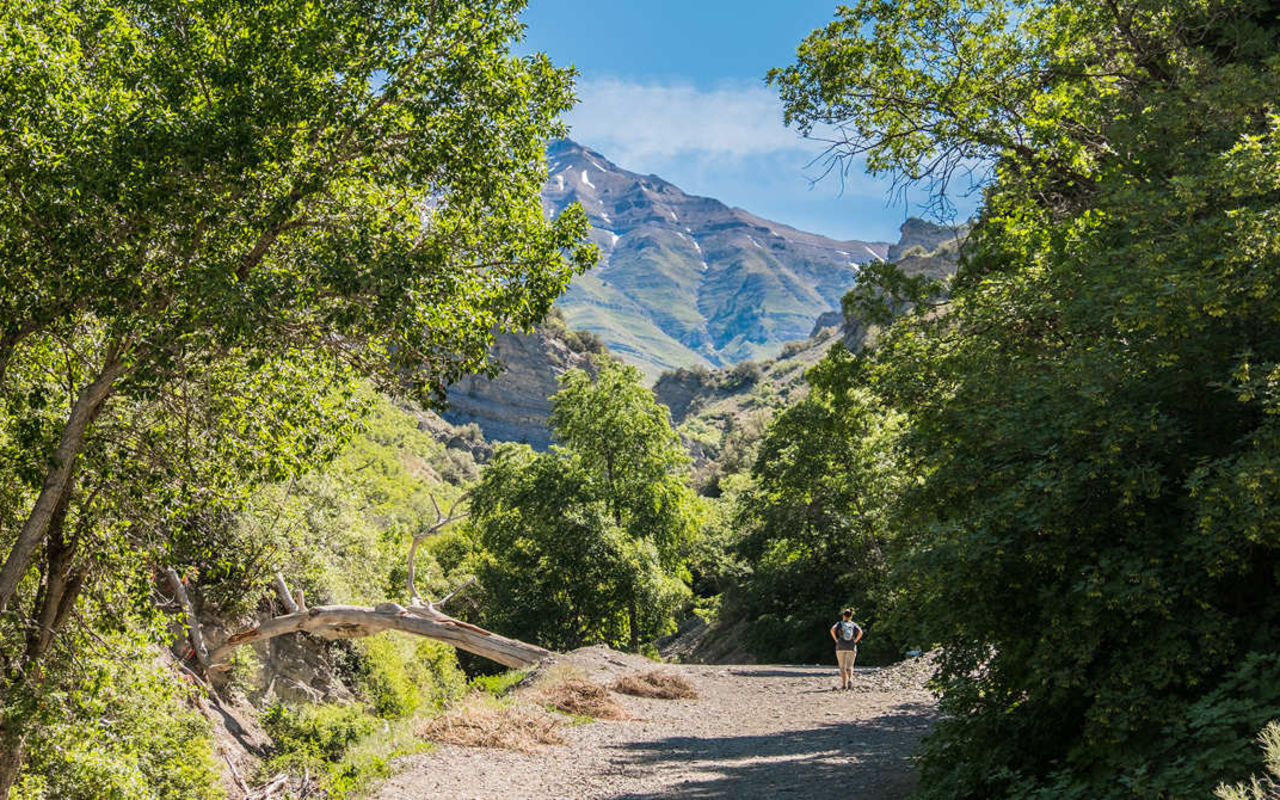 Battle Creek Falls | Photo Gallery | 1