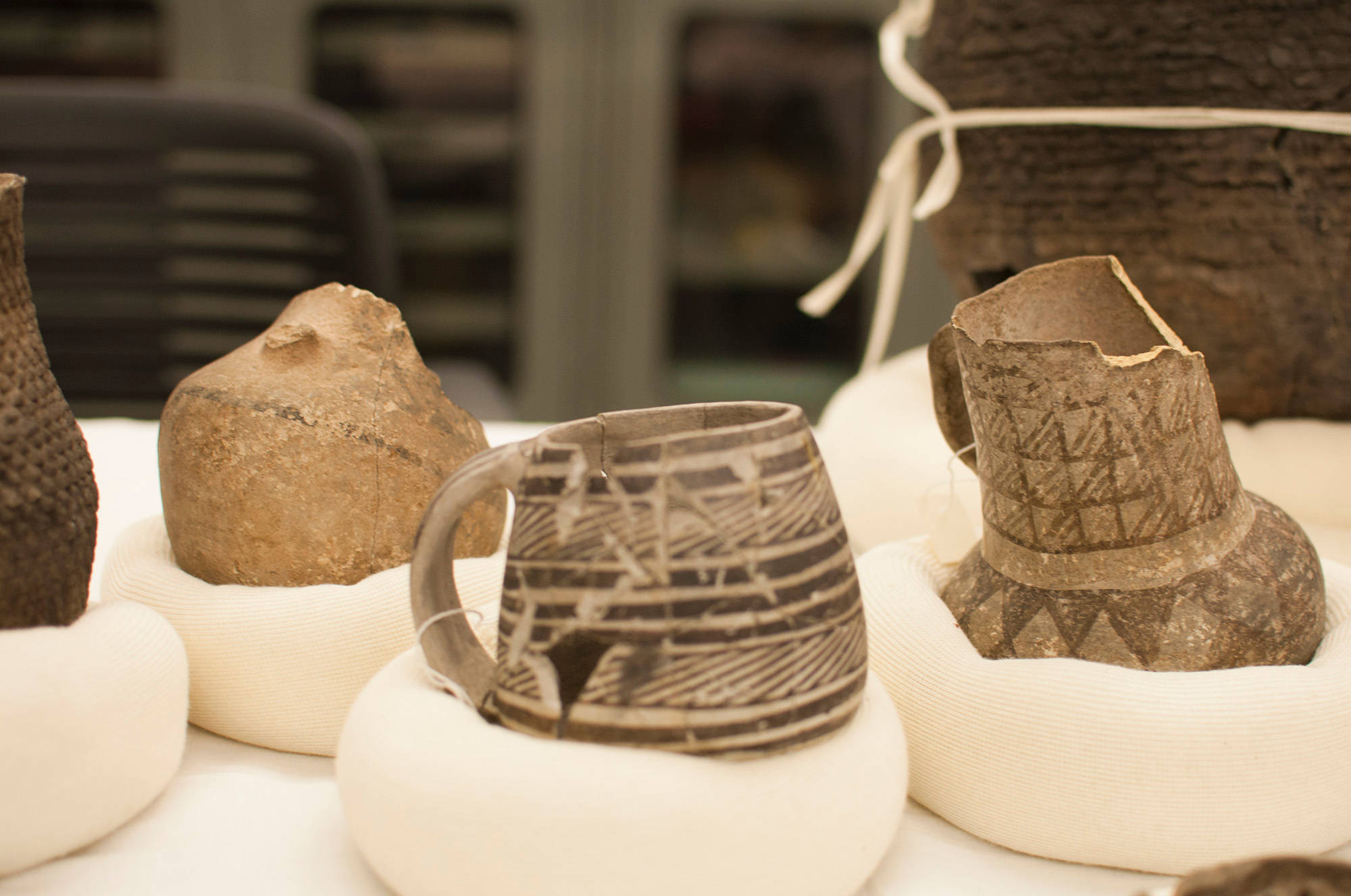 10 Secrets from the Natural History Museum