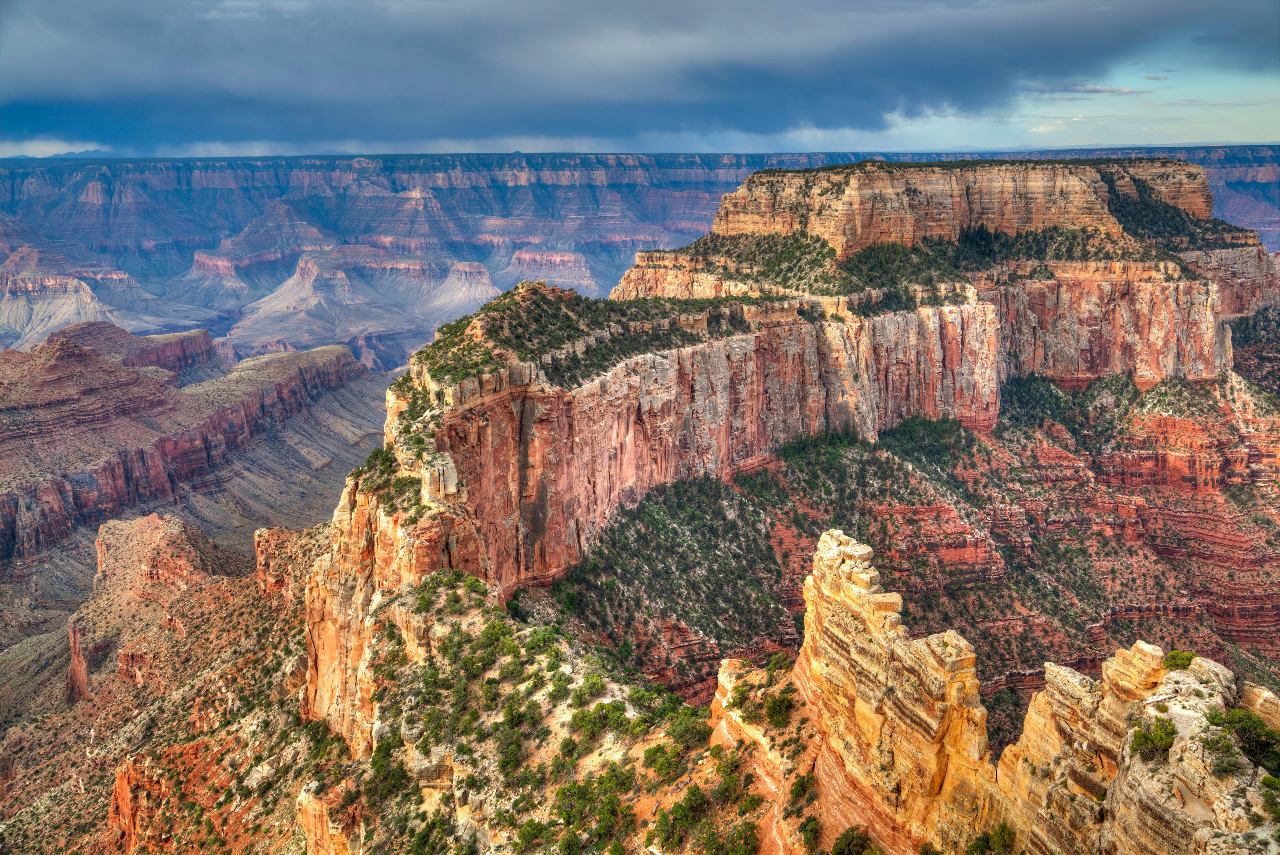 Grand Canyon Cape Royal Point copyheader