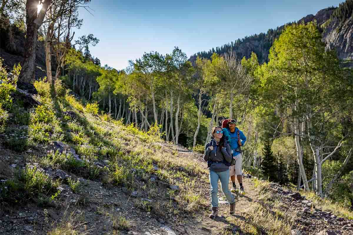 Beaver | Photo Gallery | 1 - Hiking Trails in Rambler