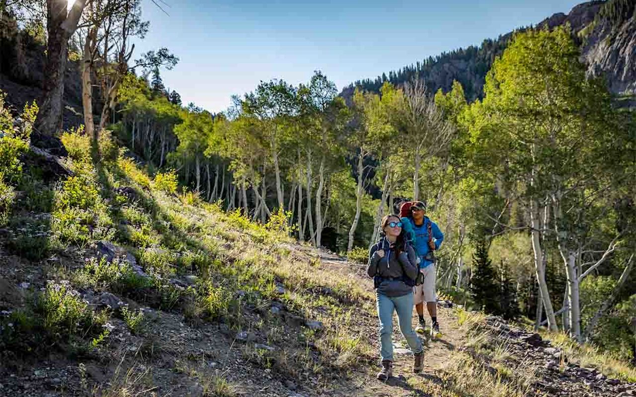 Beaver | Photo Gallery | 1 - Hiking Trails in Rambler