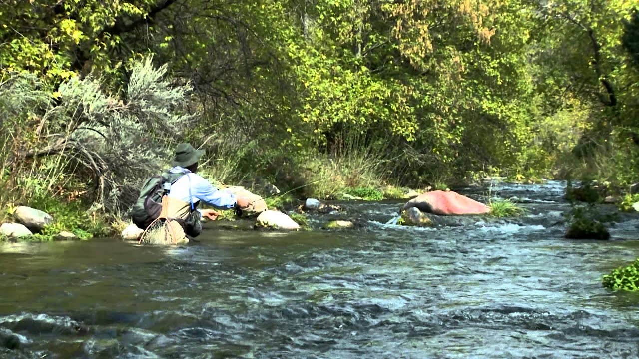 Transportation in Vernal - Dinosaurland | Photo Gallery | 1 - Diamond Mountain Jones Hole & Fish Hatchery