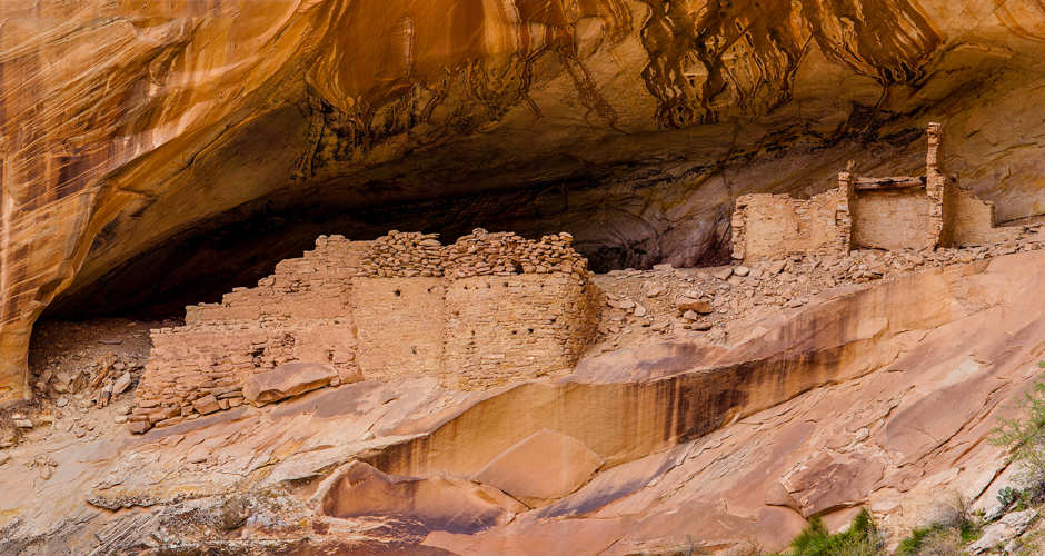 Cedar Mesa | Photo Gallery | 0 - Cedar Mesa