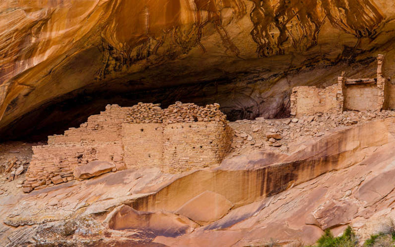 Cedar Mesa | Photo Gallery | 0 - Cedar Mesa