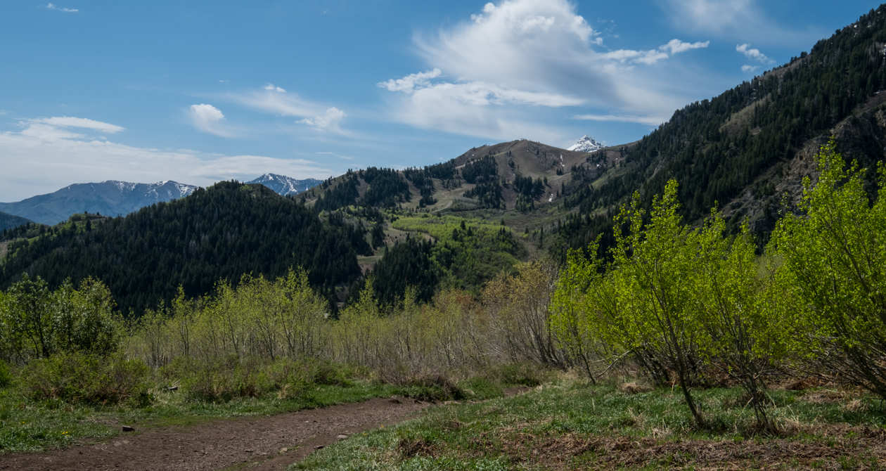 Stewart Falls | Photo Gallery | 0 - Stewart Falls