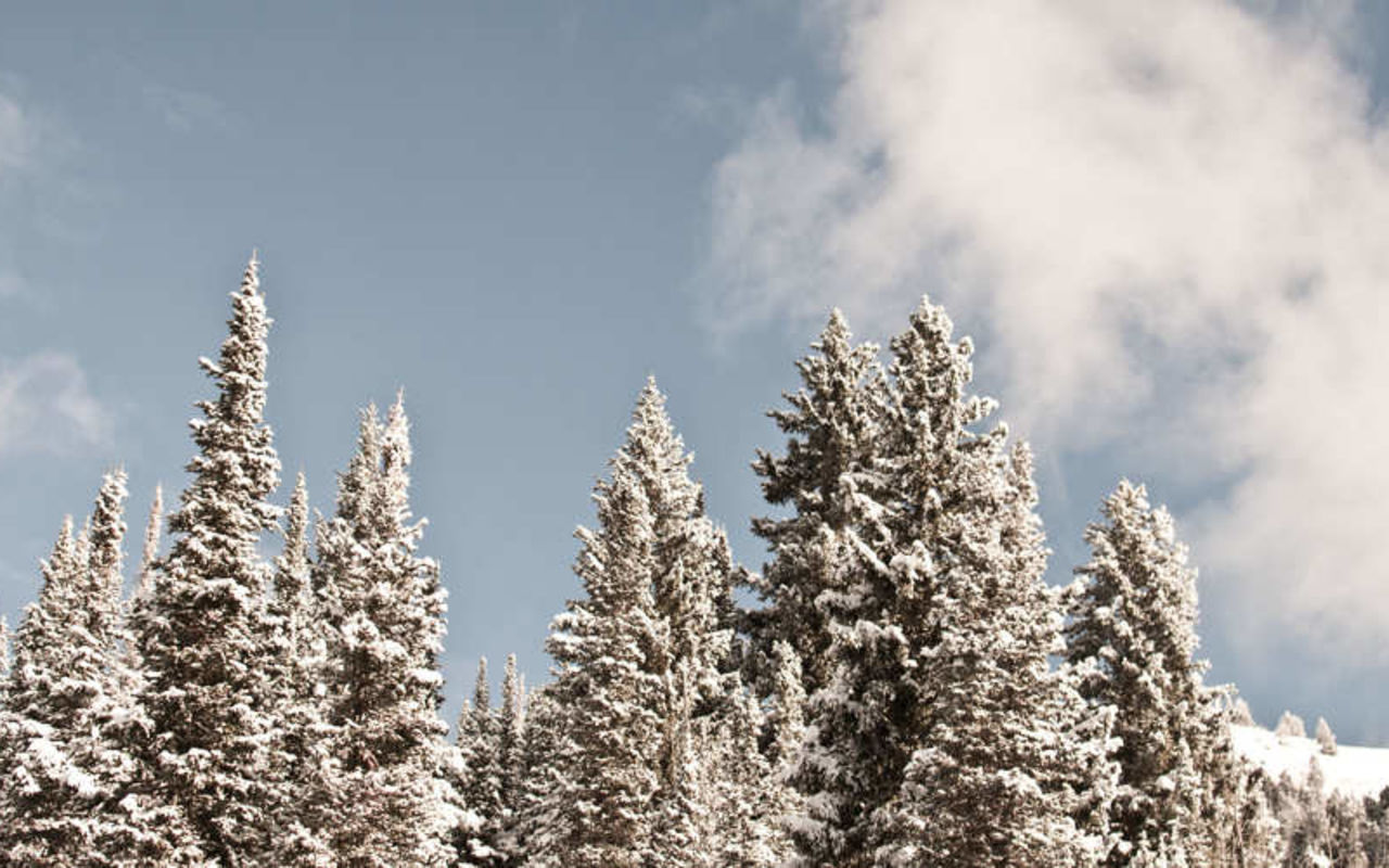 Cache Valley - Snowmobile | Photo Gallery | 0 - Cache Valley - Snowmobile