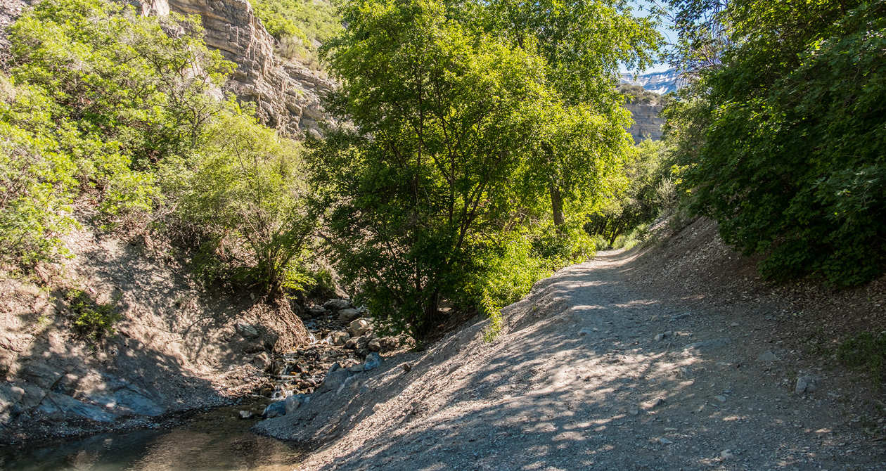 Battle Creek Falls | Photo Gallery | 0