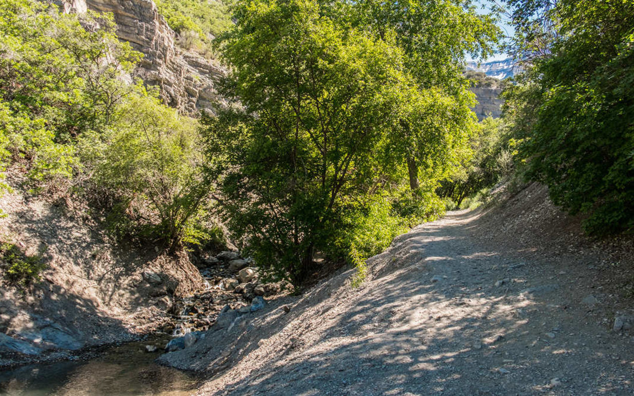 Battle Creek Falls | Photo Gallery | 0