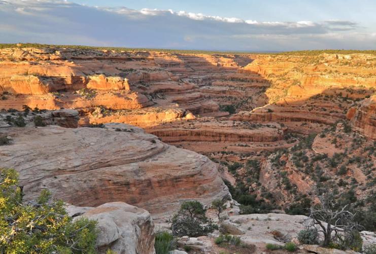 Monticello | Photo Gallery | 0 - Visit Monticello