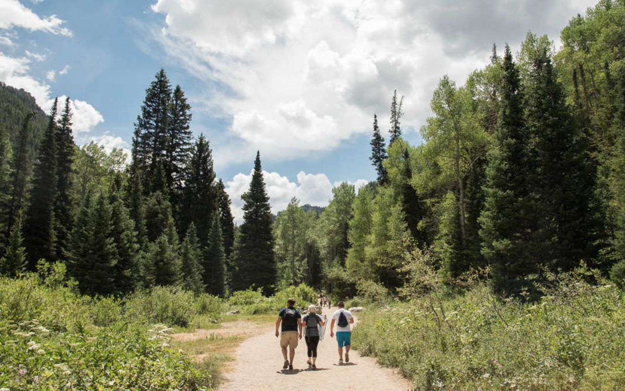 Donut Falls | Photo Gallery | 1 - Donut Falls