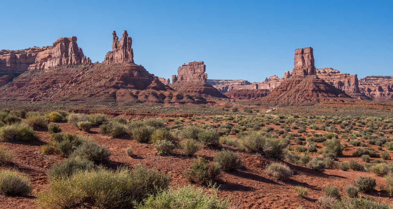 Monticello | Photo Gallery | 1 - Visit Monticello