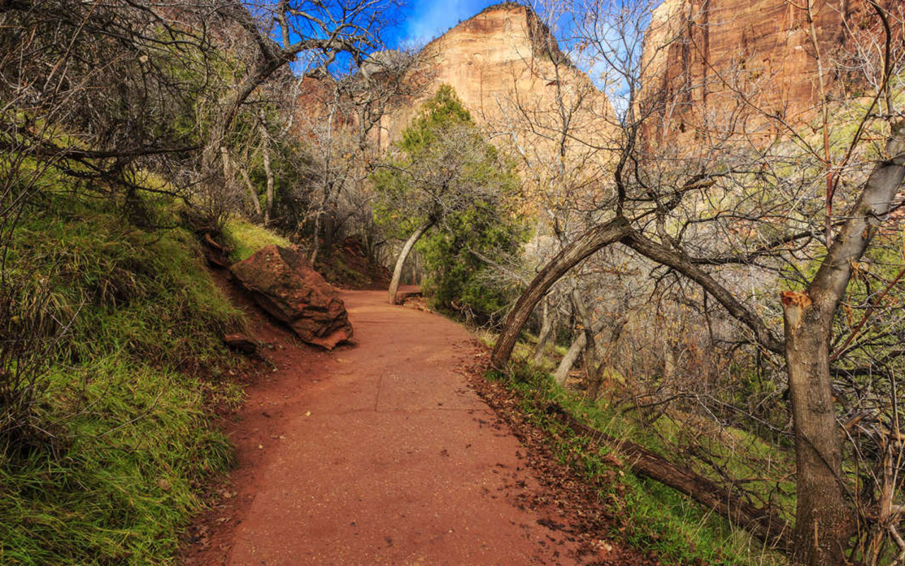 Hiking in Zion | Photo Gallery | 0 - Emerald Pools Trail as it Approaches the Lower Emerald Pools.