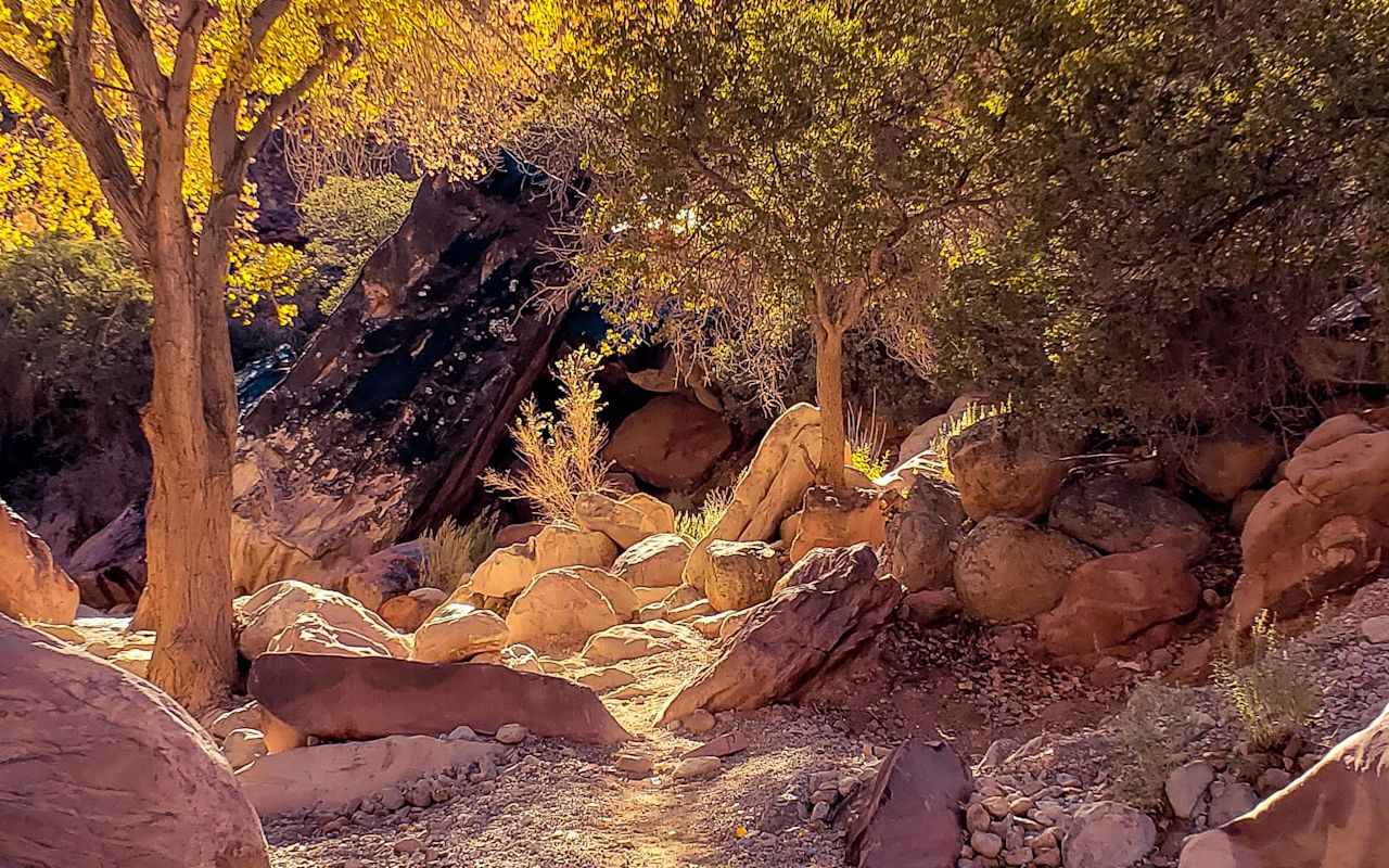 Havasu Falls | Photo Gallery | 1 - Trail to Havasu Falls