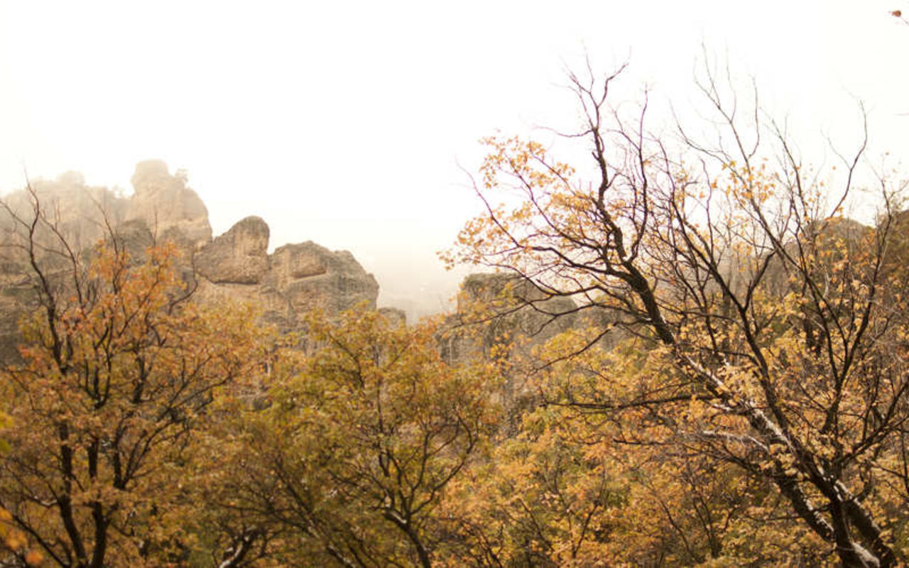 Maple Canyon | Photo Gallery | 0 - Maple Canyon