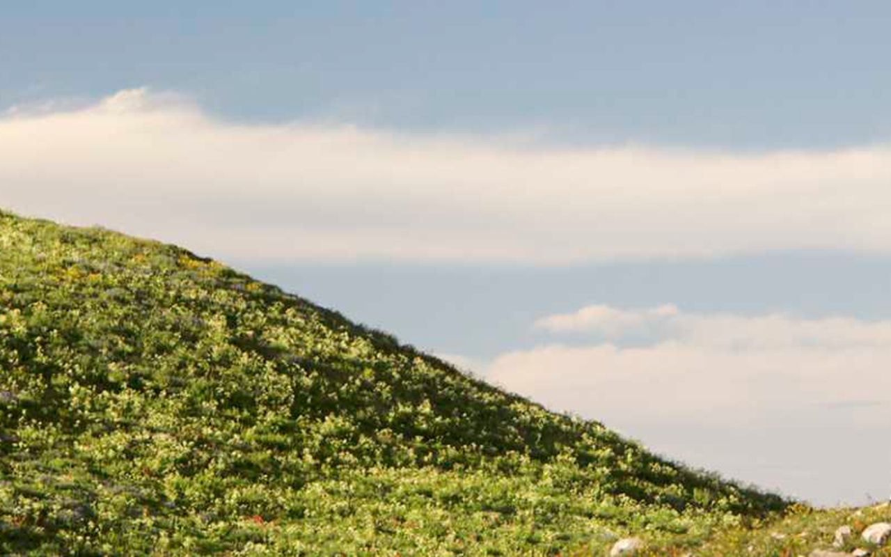 ATV/Offroad Tours & Rentals | Photo Gallery | 0 - Hiking Mt Timpanogos