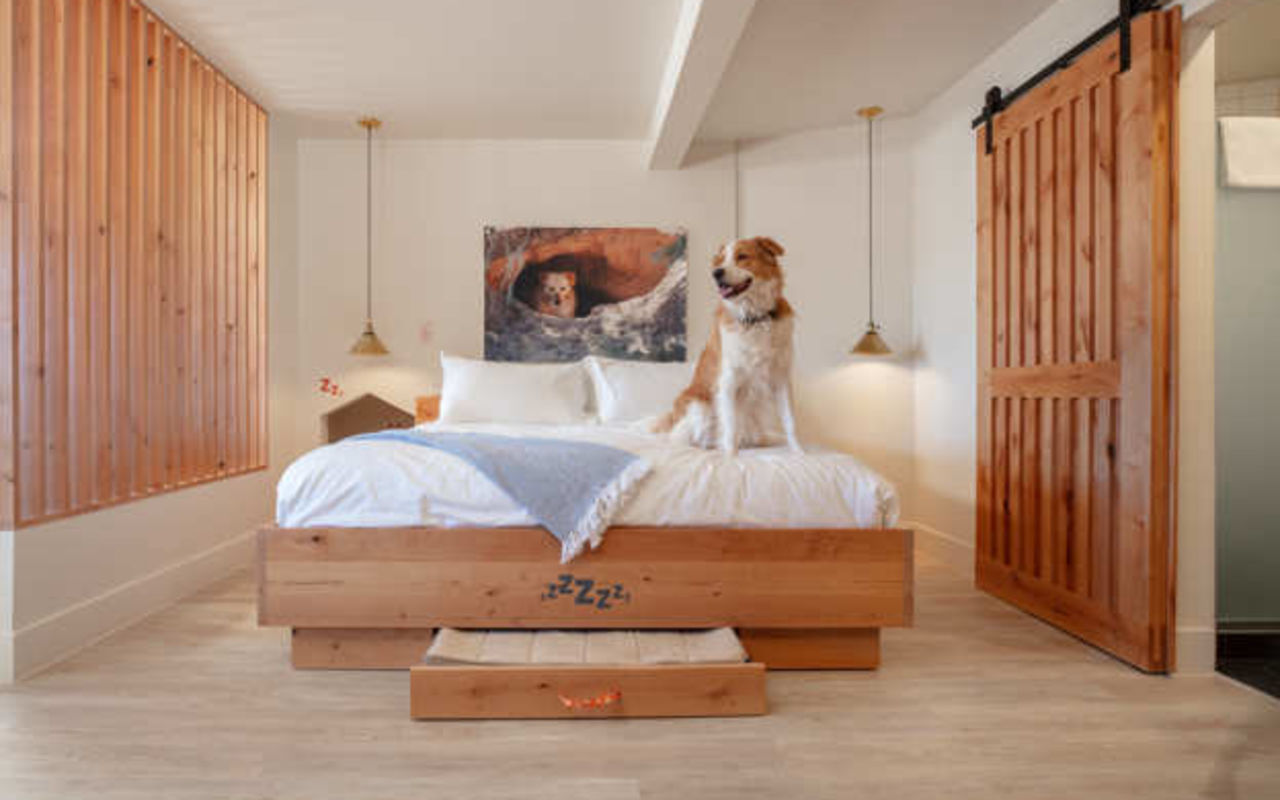 Best Friends Roadhouse and Mercantile | Photo Gallery | 0 - Best Friends Roadhouse Pets are welcome and expected at this Kanab hotel!