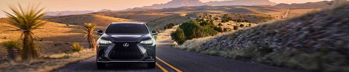 A 2022 Lexus NX 350 F Sport drives along a road through a desert