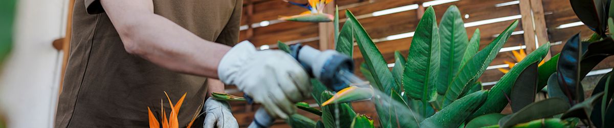 KSL Services is moving to KSL Classifieds on Jan. 5