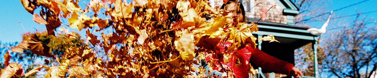 Fall cleanup is easy with affordable used tools from KSL