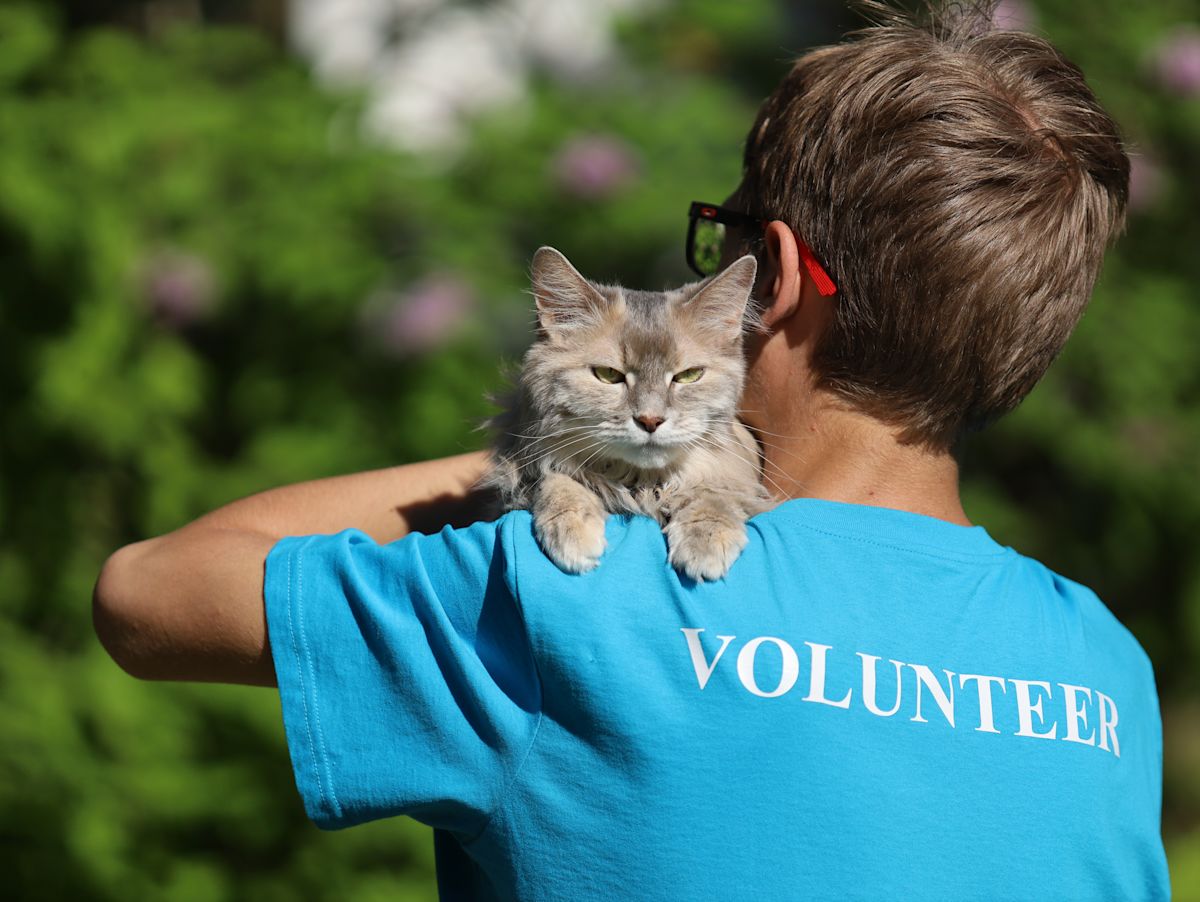 AdobeStock 517906533