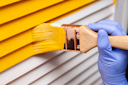 Painters