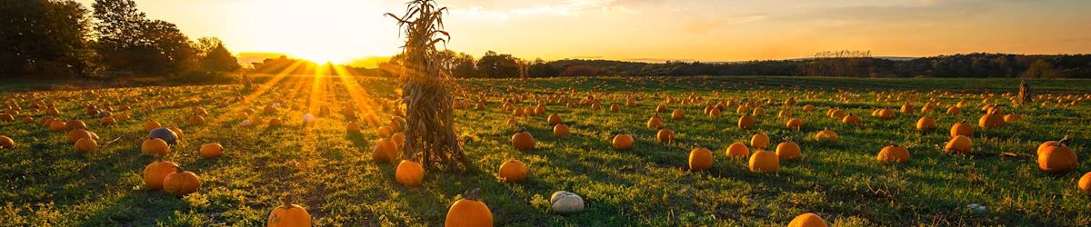 Need seasonal workers? Find them with KSL Jobs