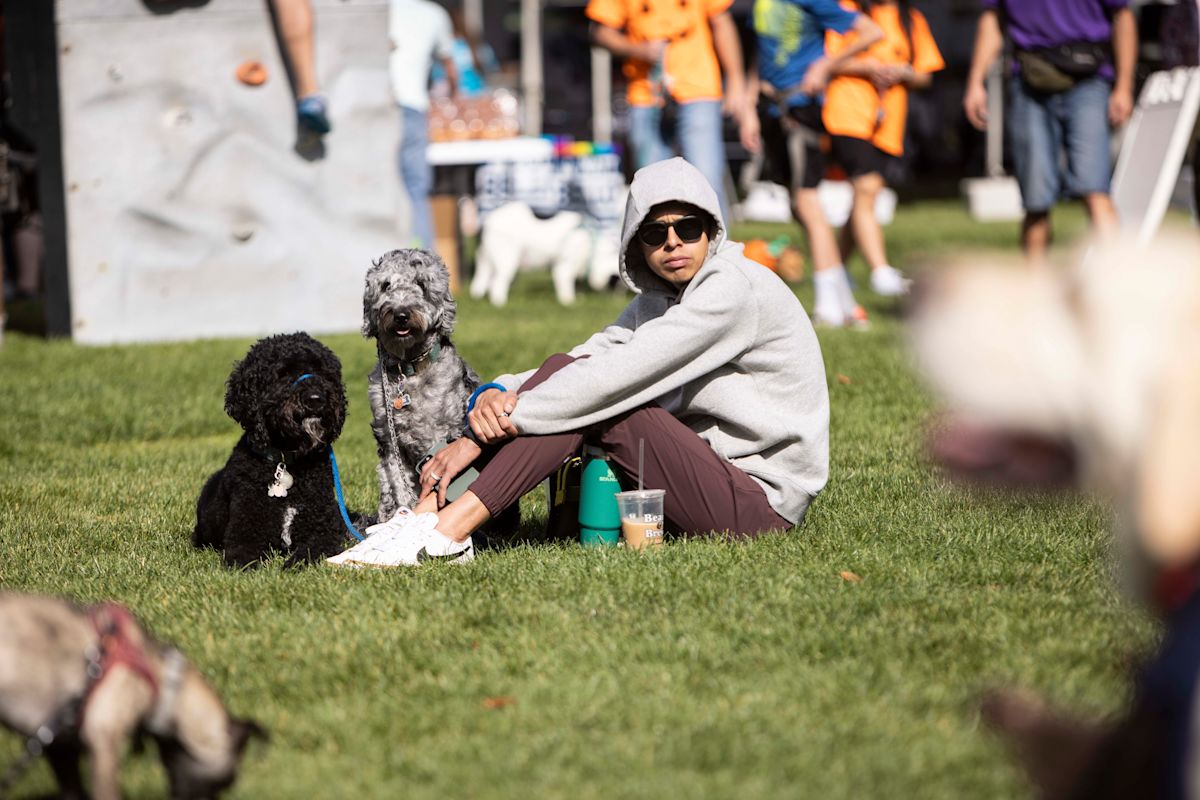 A crowd gathered at Liberty Park for Strut Your Mutt 2024, with dogs of all breeds and sizes walking alongside their owners. The park’s greenery and event tents are visible, creating a festive and community-focused atmosphere."